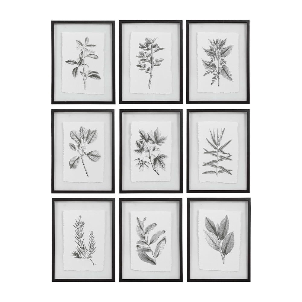 Farmhouse Florals Framed Prints, Set of 9 Accessories Uttermost   
