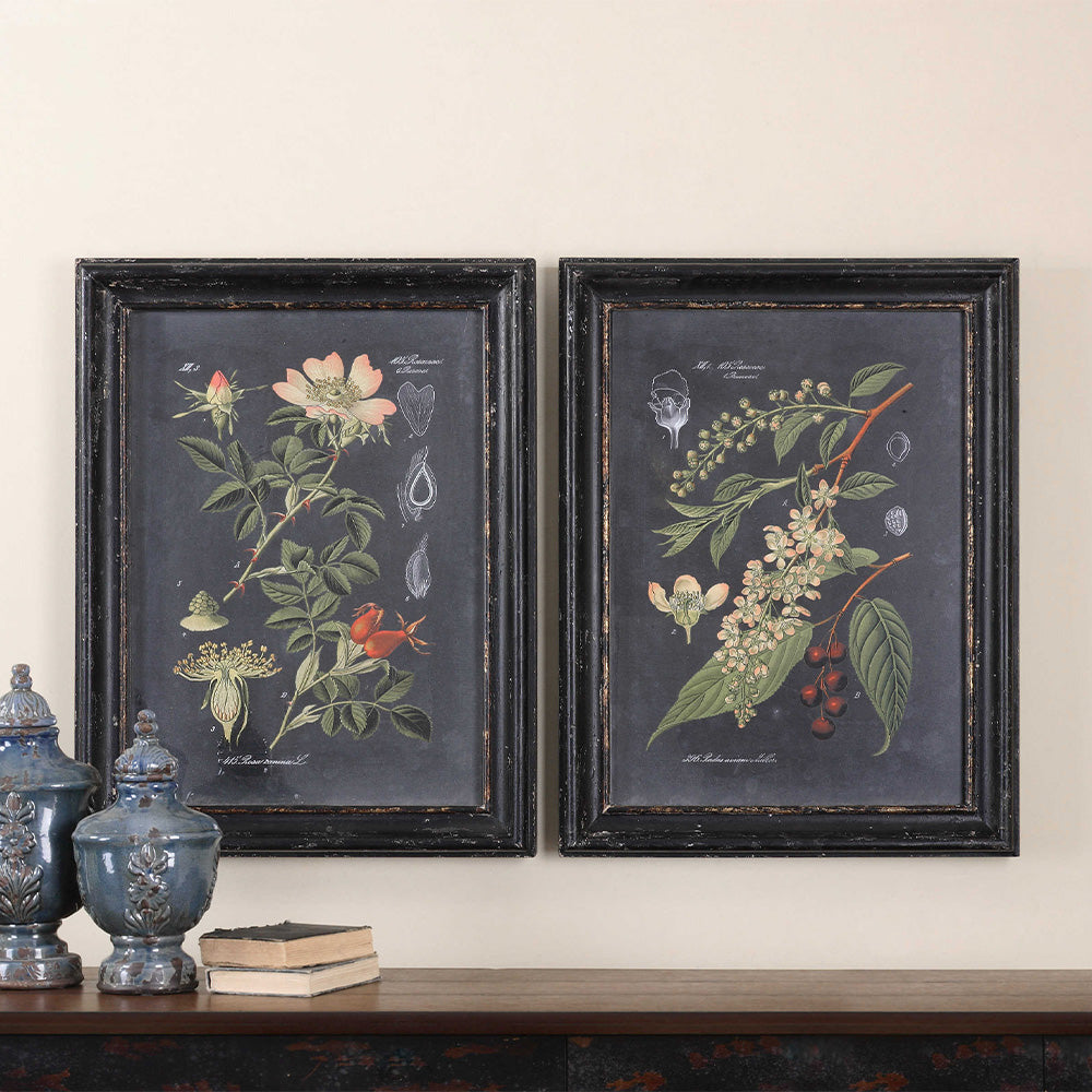 Midnight Botanicals Framed Prints, Set of 2 Accessories Uttermost   