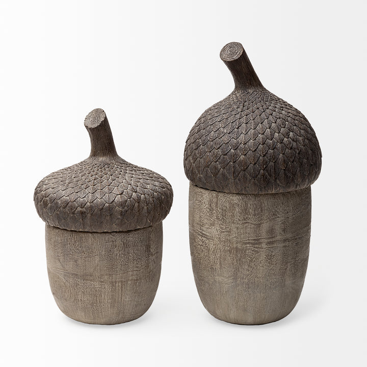 Mandor I (Small) 6L x 6W Brown Resin Acorn Box Decor Mercana