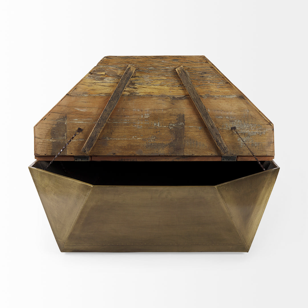Esagono Octagonal Gold Metal-Clad Reclaimed Wood Coffee Table w/ Storage Living Room Mercana