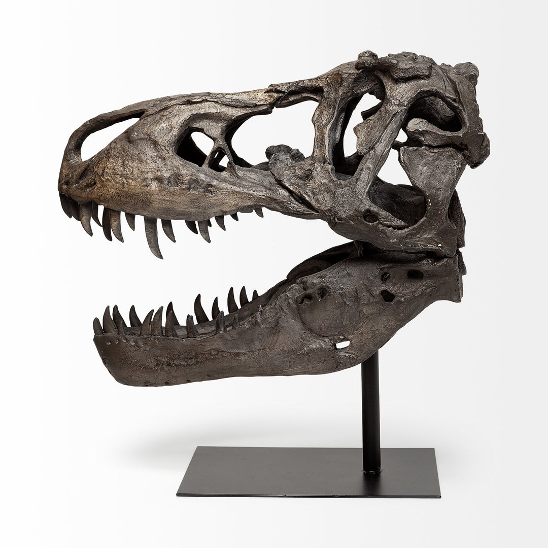 Lagrane 19L x 11W Brown Resin Tyrannosaurus T Rex Dinosaur Skull Replica Decor Mercana