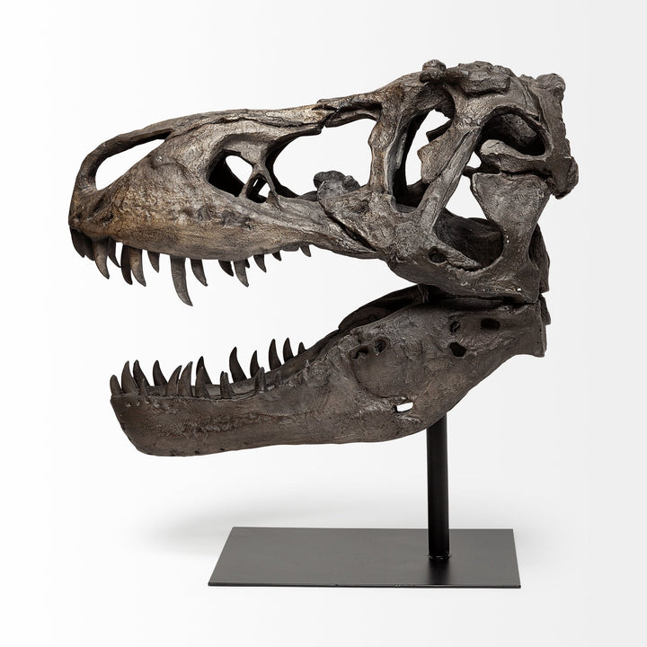 Lagrane 19L x 11W Brown Resin Tyrannosaurus T Rex Dinosaur Skull Replica Decor Mercana