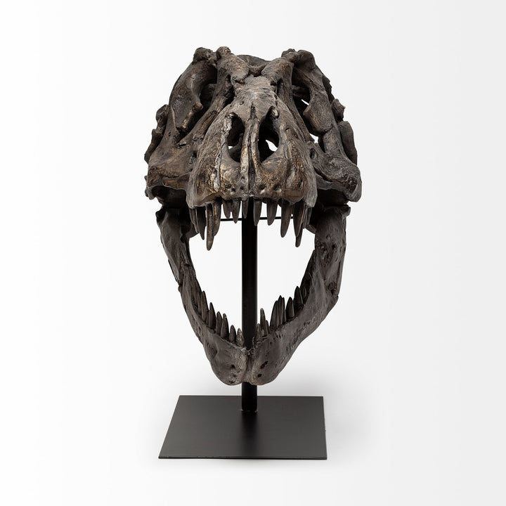 Lagrane 19L x 11W Brown Resin Tyrannosaurus T Rex Dinosaur Skull Replica Decor Mercana