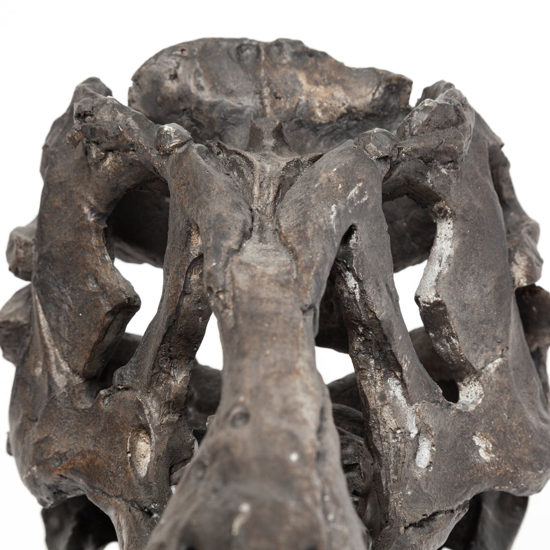 Jurassic 6L x 10W Brown Resin Tyrannosaurus Skull Replica Decor Mercana