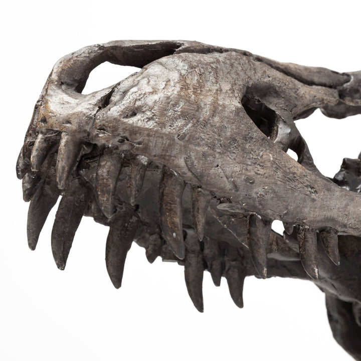 Jurassic 6L x 10W Brown Resin Tyrannosaurus Skull Replica Decor Mercana