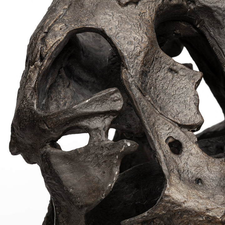 Lagrane 19L x 11W Brown Resin Tyrannosaurus T Rex Dinosaur Skull Replica Decor Mercana