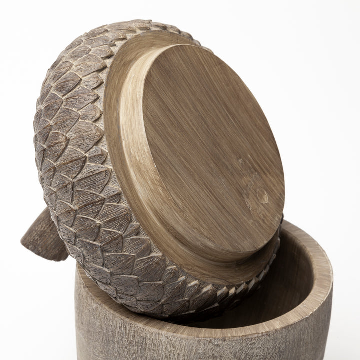 Mandor I (Small) 6L x 6W Brown Resin Acorn Box Decor Mercana