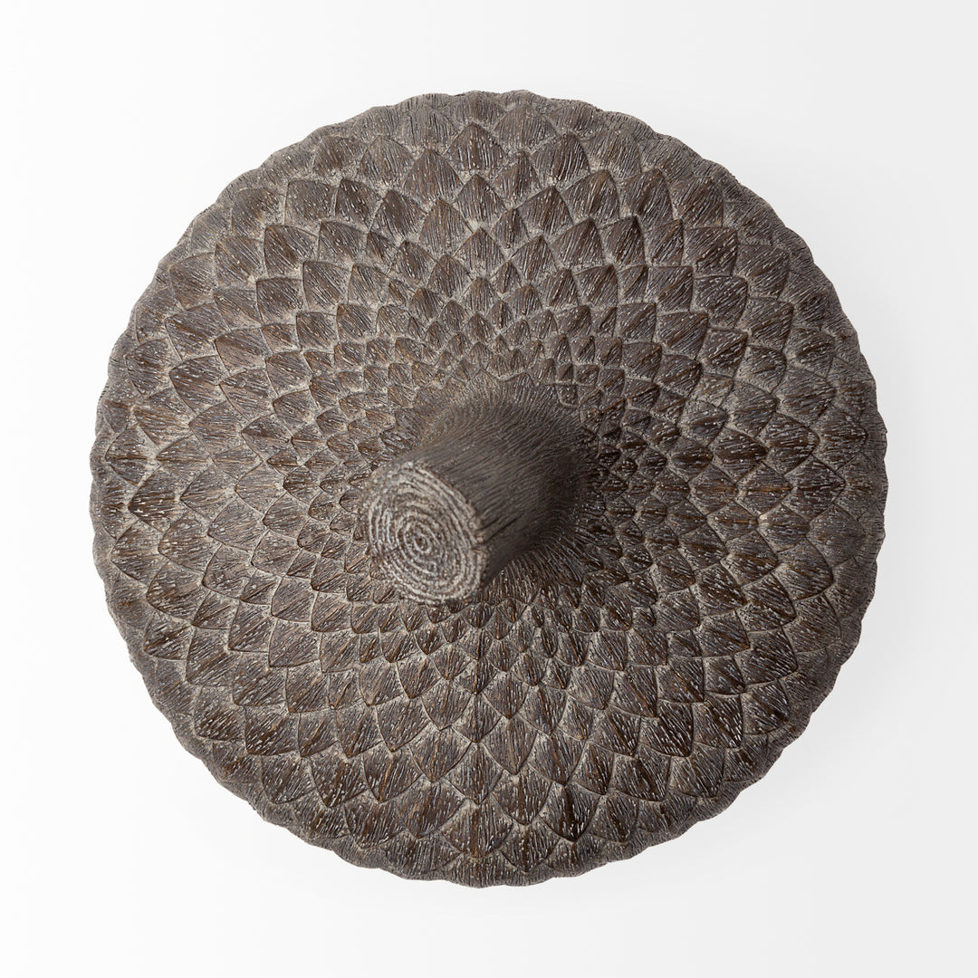 Mandor I (Small) 6L x 6W Brown Resin Acorn Box Decor Mercana