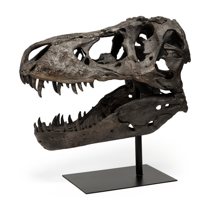 Lagrane 19L x 11W Brown Resin Tyrannosaurus T Rex Dinosaur Skull Replica Decor Mercana