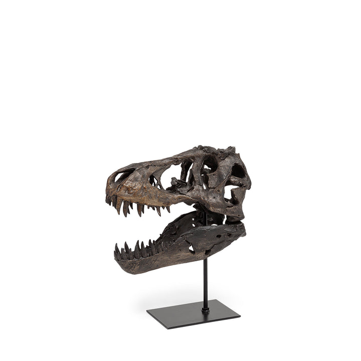Jurassic 6L x 10W Brown Resin Tyrannosaurus Skull Replica Decor Mercana