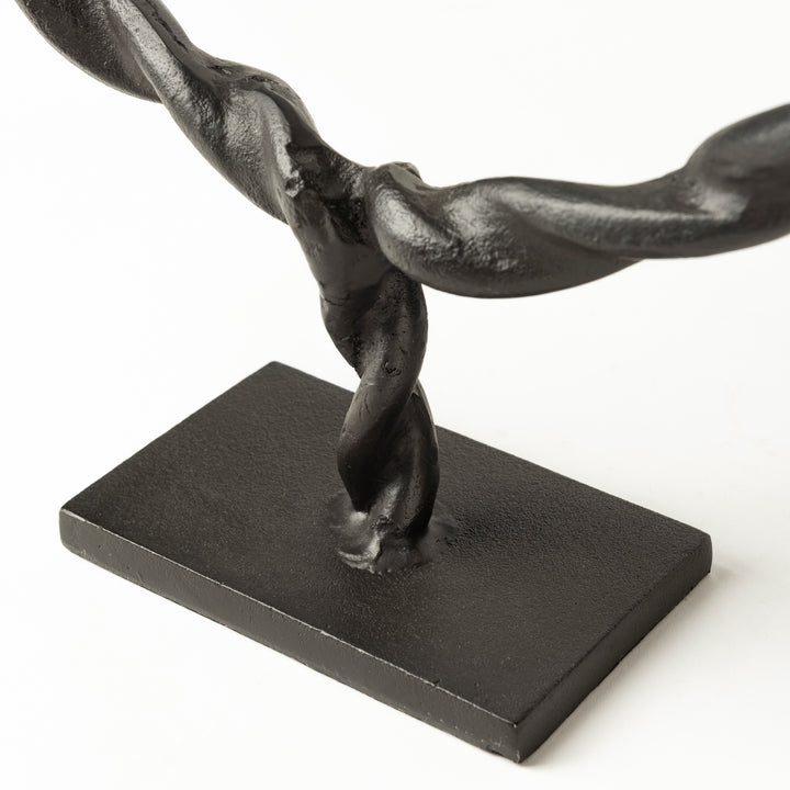 Rizwan (Small) Black Aluminum Braided Circular Object Decor Mercana