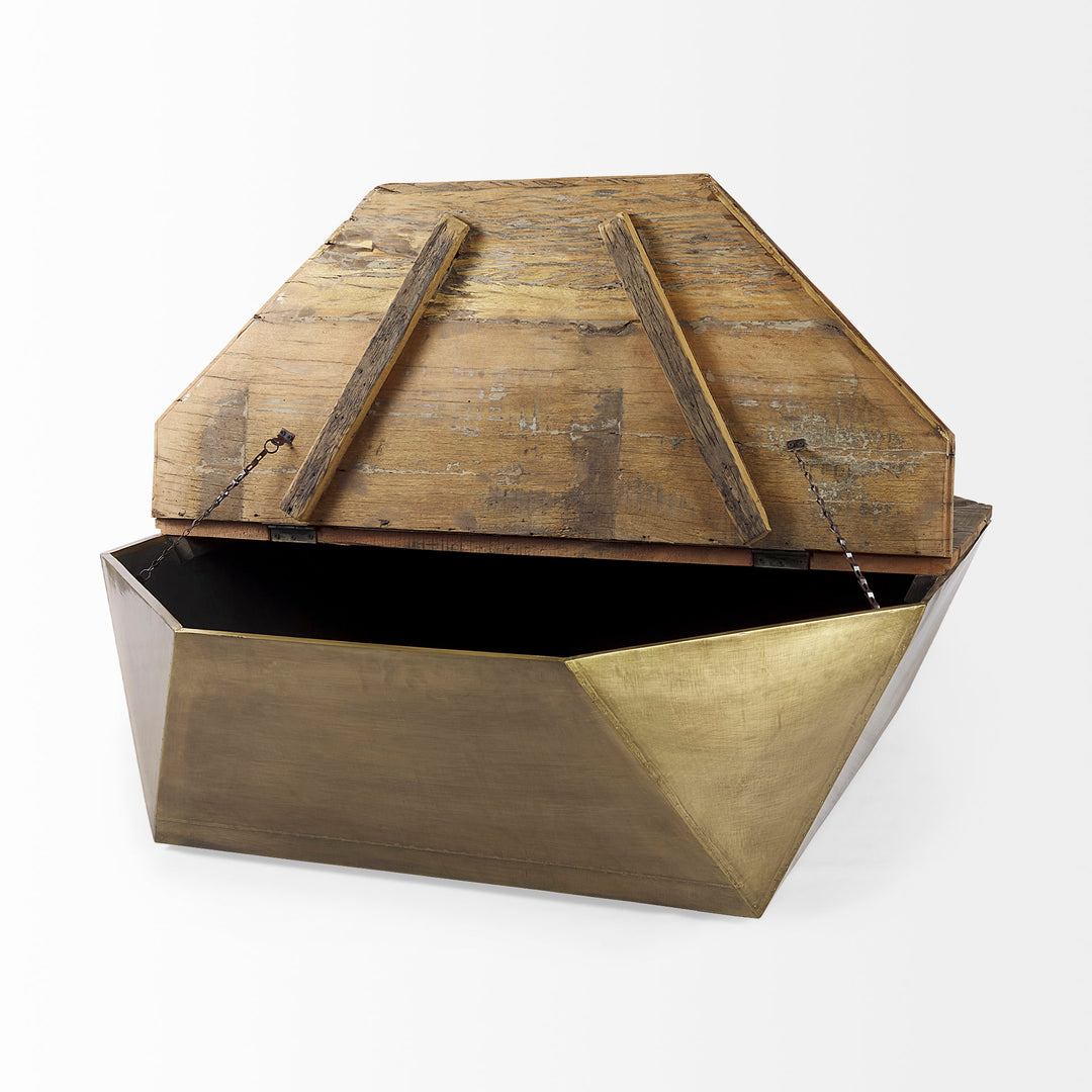 Esagono Octagonal Gold Metal-Clad Reclaimed Wood Coffee Table w/ Storage Living Room Mercana