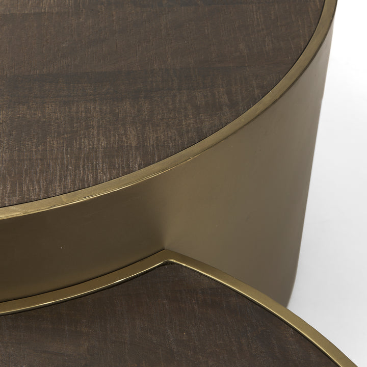 Eclipse Antique Brass Metal Drum Base w/ Dark Brown Wood Top Nested Coffee Table Living Room Mercana