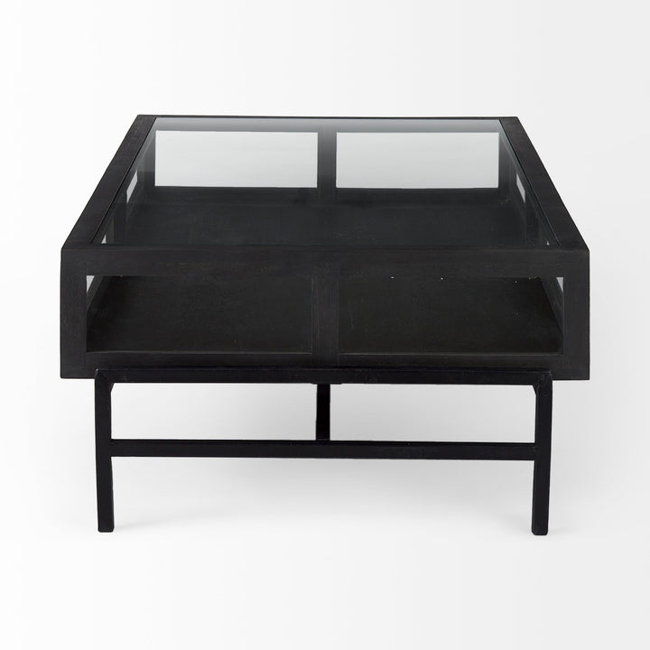 Arelius 42"L Rectangular Glass-Top Black-Brown Wood w/ Black Metal Base Display Coffee Table Living Room Mercana