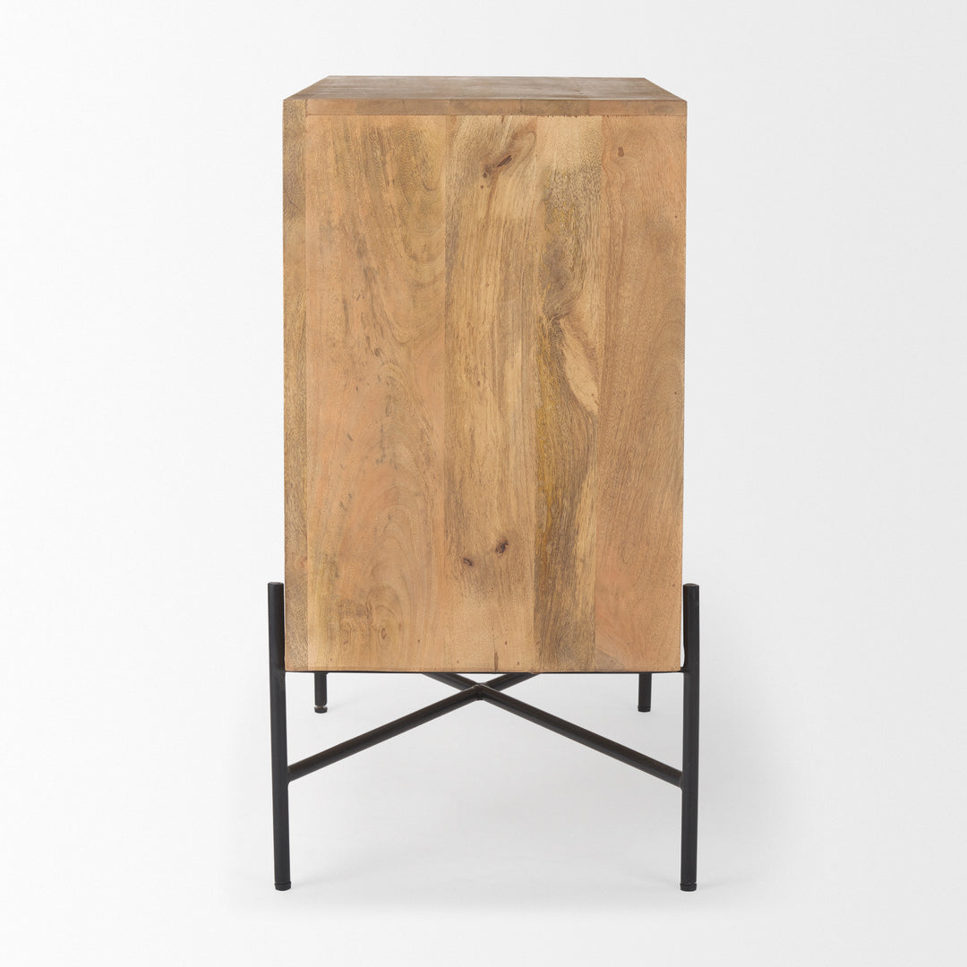 Cairo 2 Door Wood and Metal Cabinet Decor Mercana