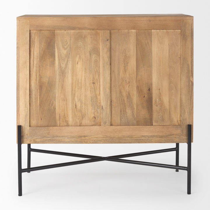 Cairo 2 Door Wood and Metal Cabinet Decor Mercana