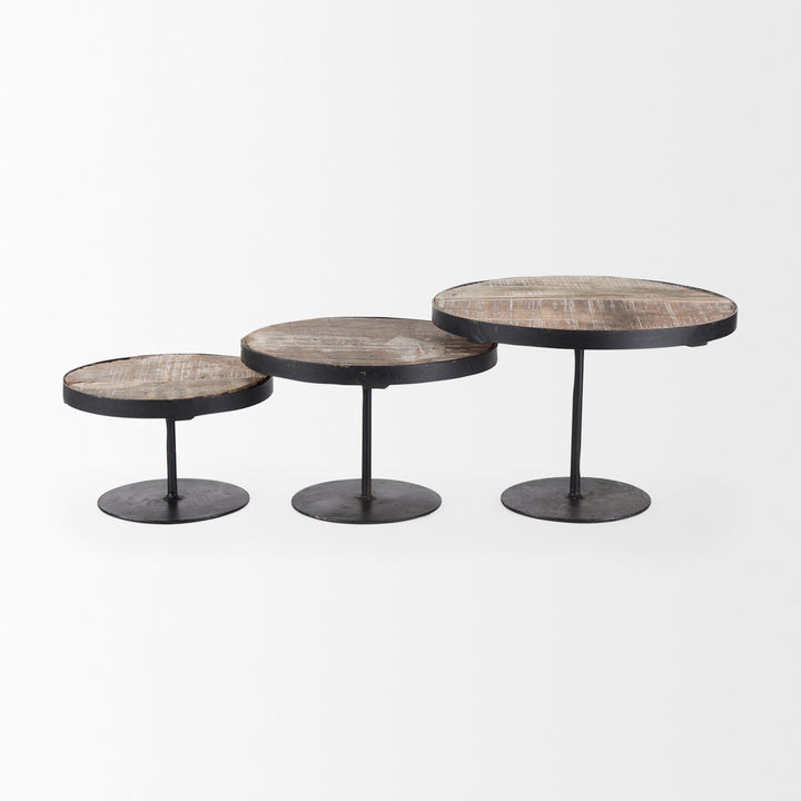 Lorenz (Set of 3) Light Brown Wood W/ Black Metal Base Round Decorative Display Stands Decor Mercana