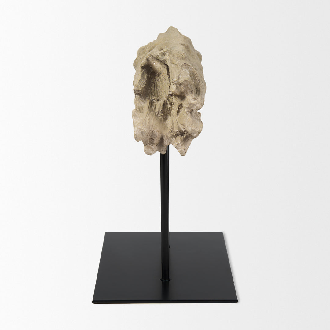 Dwell Cholla Wood Resin Decorative Object Decor Mercana