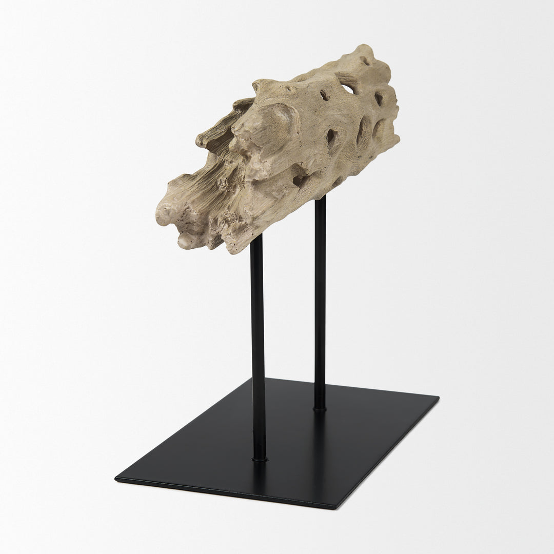 Dwell Cholla Wood Resin Decorative Object Decor Mercana