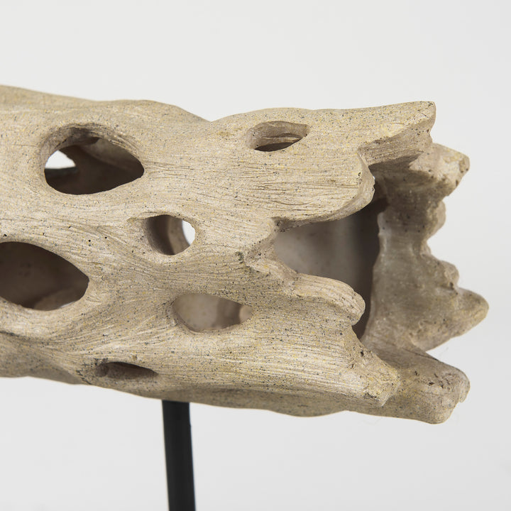 Dwell Cholla Wood Resin Decorative Object Decor Mercana