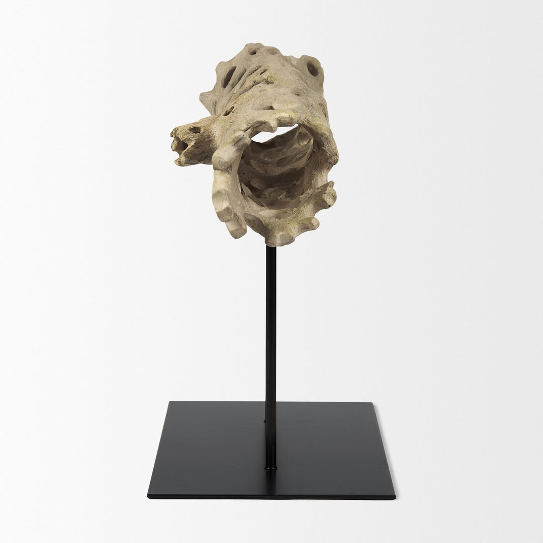 Dwell Cholla Wood Resin Decorative Object Decor Mercana