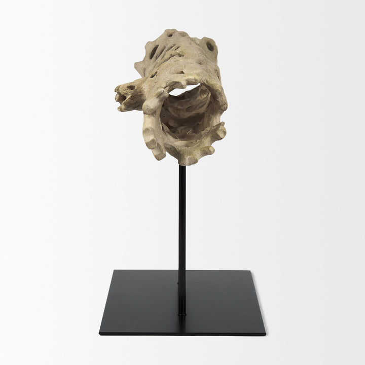 Dwell Cholla Wood Resin Decorative Object Decor Mercana