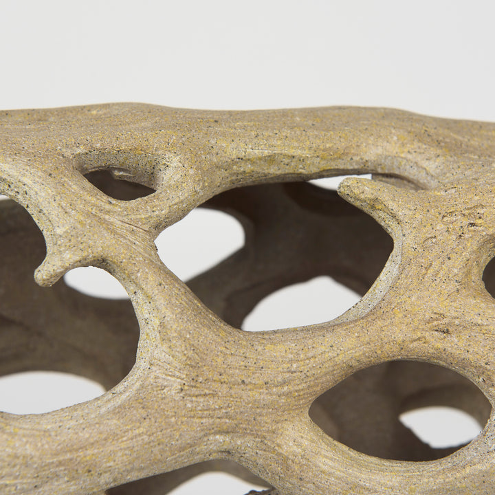Dwell Cholla Wood Resin Decorative Object Decor Mercana