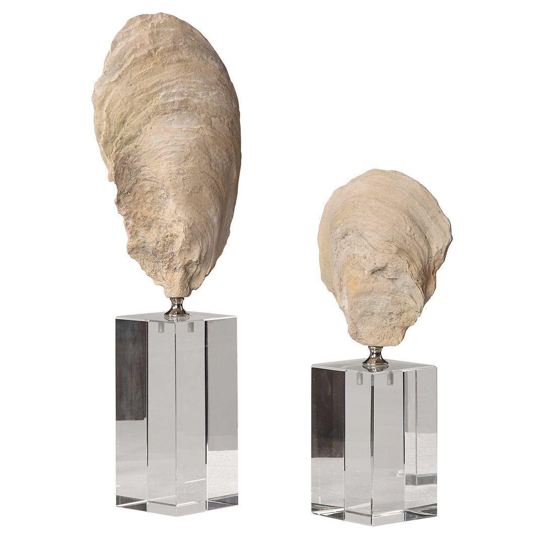Oyster Shell Sculptures Set of 2 Accessories Uttermost