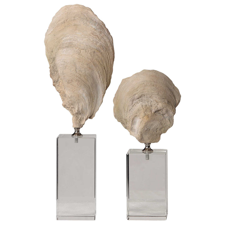 Oyster Shell Sculptures Set of 2 Accessories Uttermost