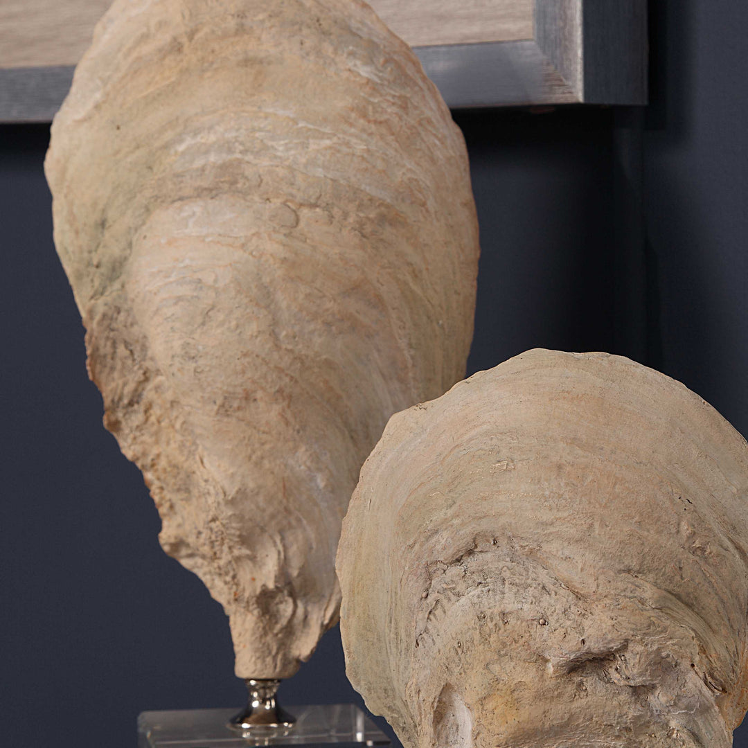 Oyster Shell Sculptures Set of 2 Accessories Uttermost
