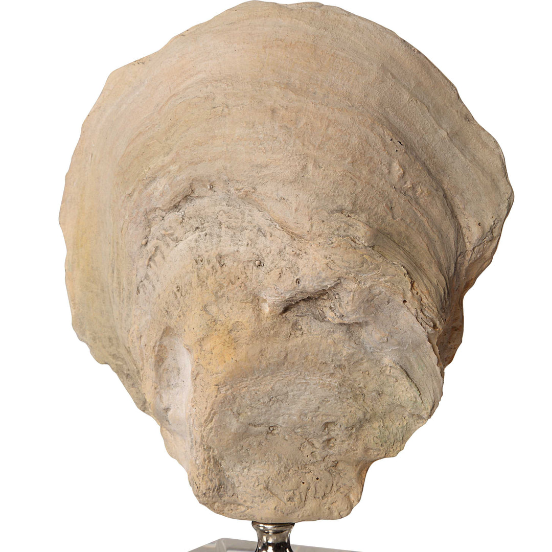 Oyster Shell Sculptures Set of 2 Accessories Uttermost
