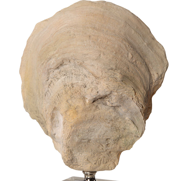 Oyster Shell Sculptures Set of 2 Accessories Uttermost