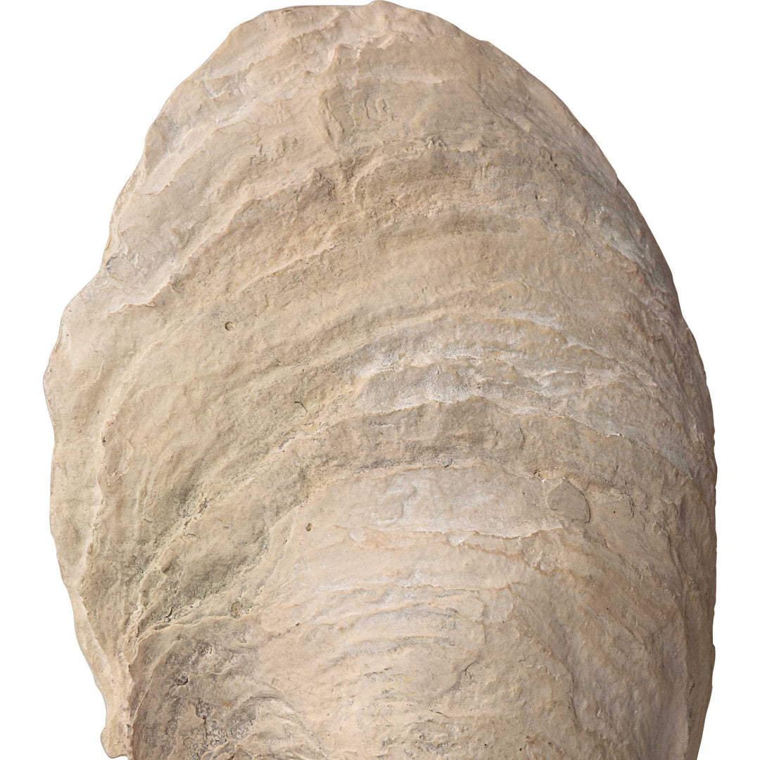 Oyster Shell Sculptures Set of 2 Accessories Uttermost