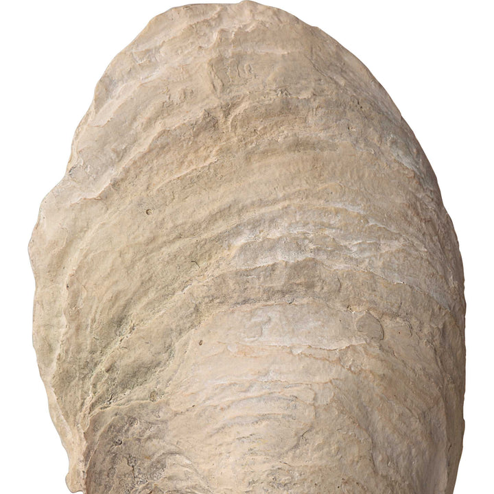 Oyster Shell Sculptures Set of 2 Accessories Uttermost