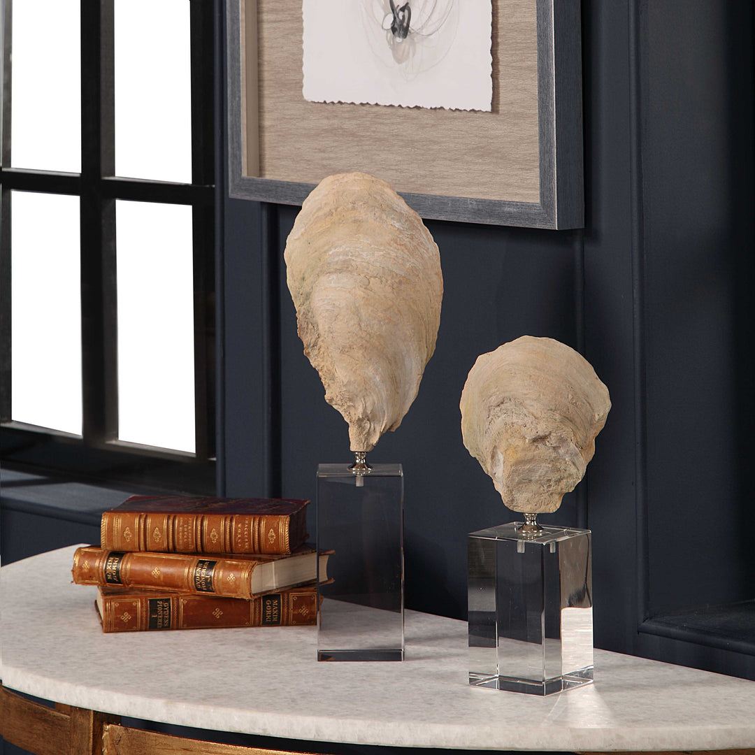 Oyster Shell Sculptures Set of 2 Accessories Uttermost