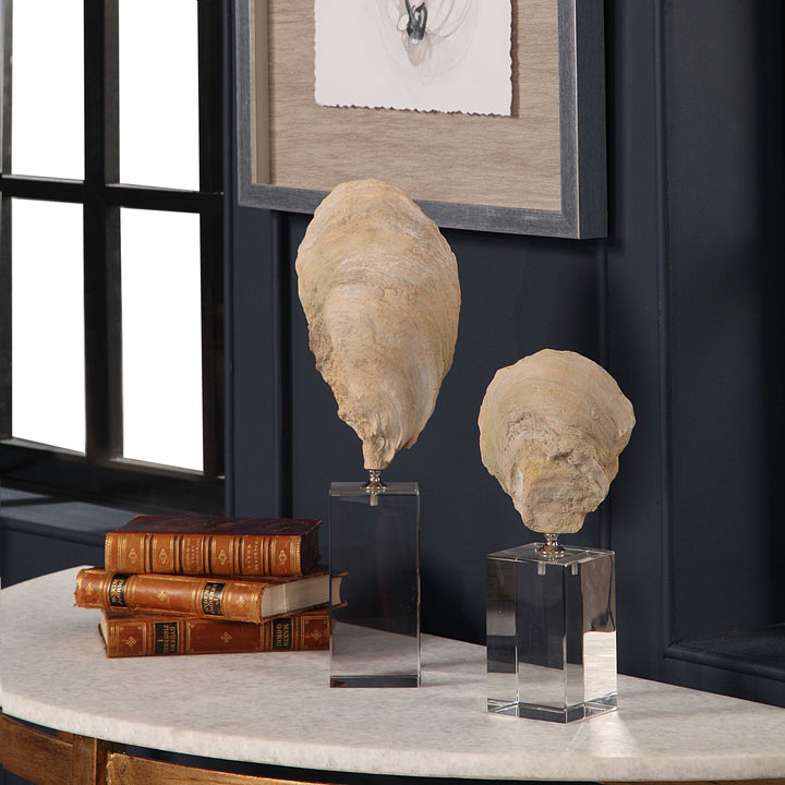 Oyster Shell Sculptures Set of 2 Accessories Uttermost