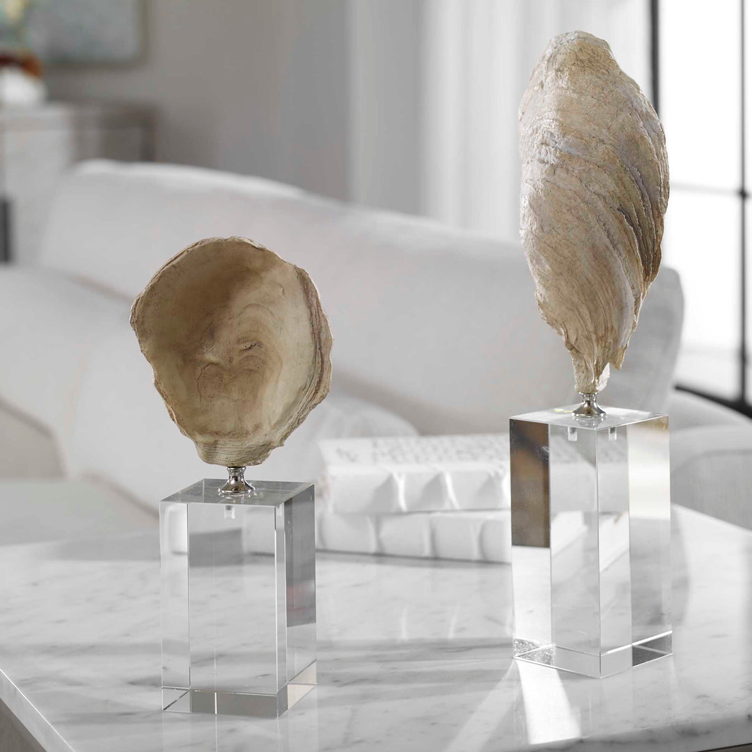 Oyster Shell Sculptures Set of 2 Accessories Uttermost
