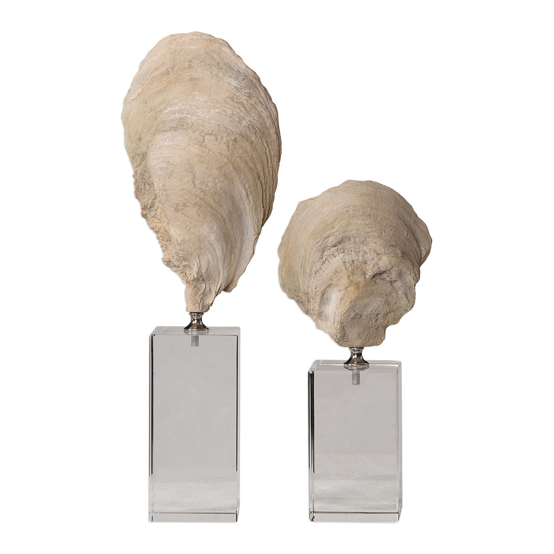 Oyster Shell Sculptures Set of 2 Accessories Uttermost