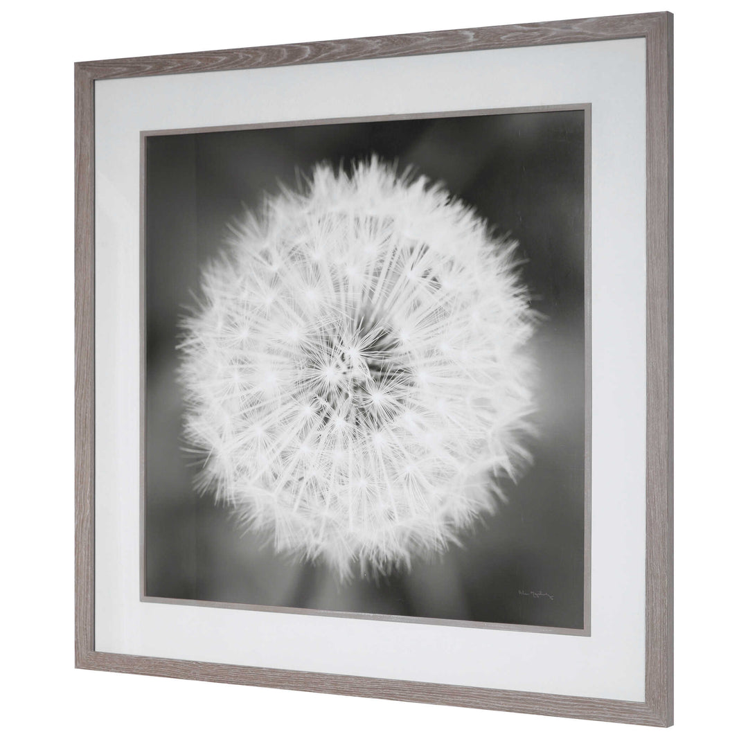 Dandelion Seedhead Framed Print Accessories Uttermost
