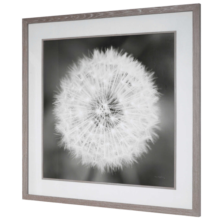 Dandelion Seedhead Framed Print Accessories Uttermost