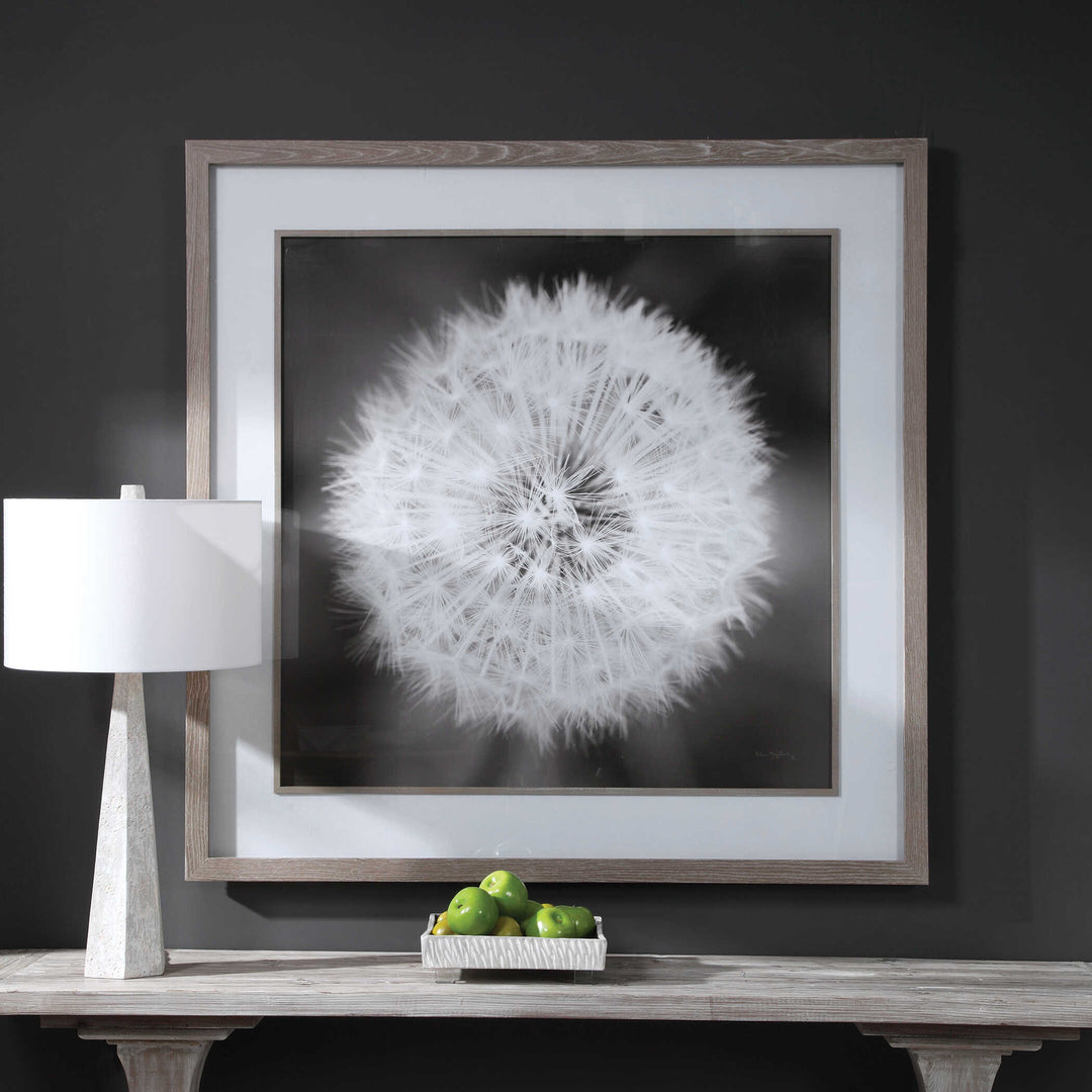 Dandelion Seedhead Framed Print Accessories Uttermost