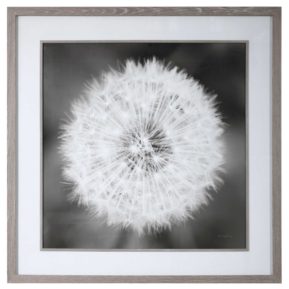 Dandelion Seedhead Framed Print Accessories Uttermost