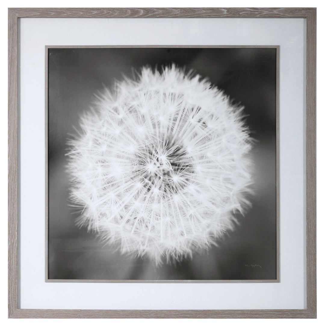 Dandelion Seedhead Framed Print Accessories Uttermost