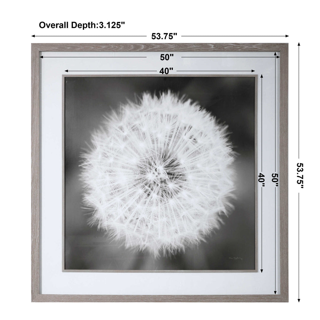 Dandelion Seedhead Framed Print Accessories Uttermost