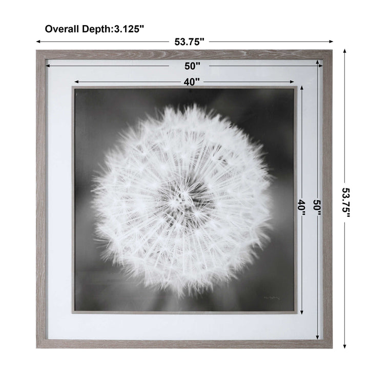 Dandelion Seedhead Framed Print Accessories Uttermost