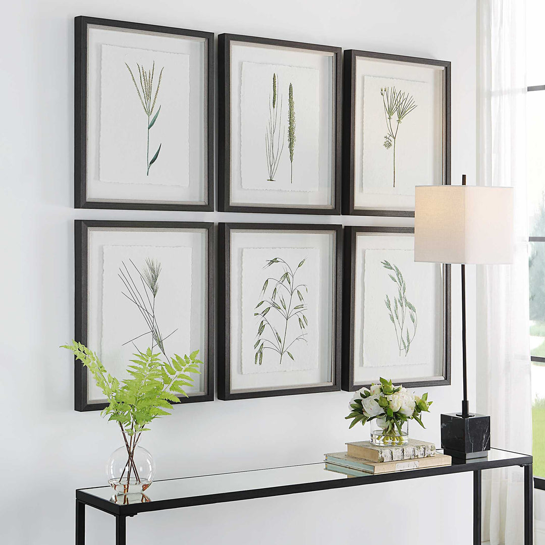 Forest Finds Framed Prints Set of 6 Accessories Uttermost