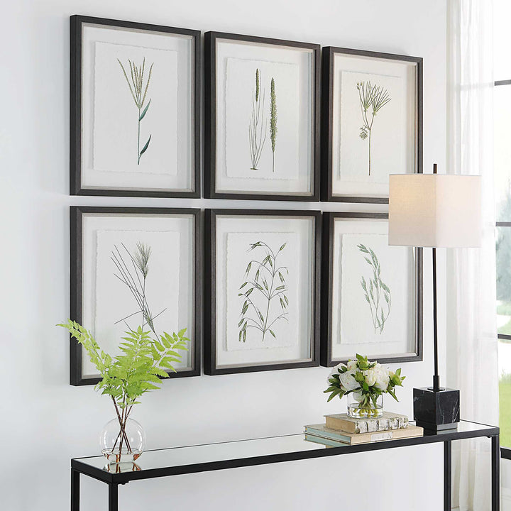 Forest Finds Framed Prints Set of 6 Accessories Uttermost