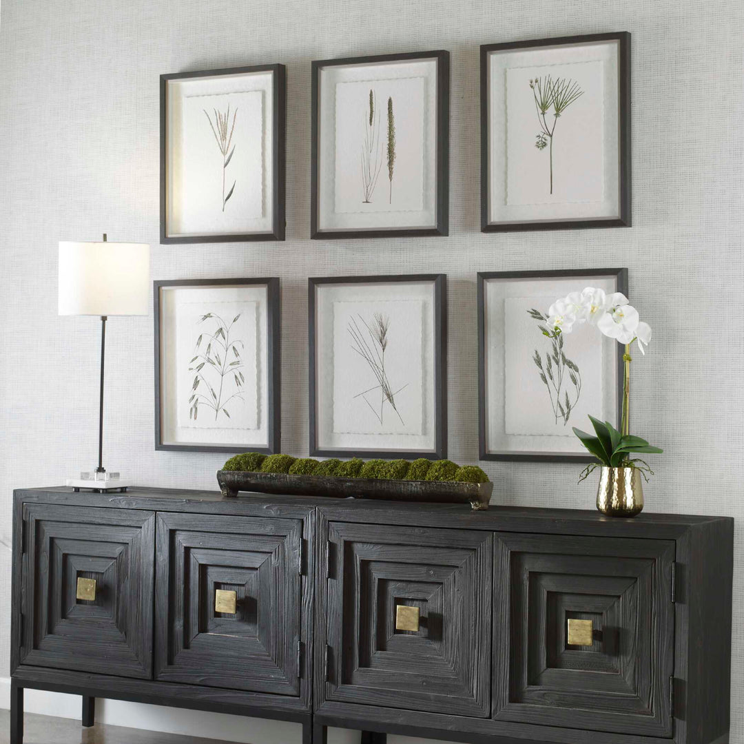 Forest Finds Framed Prints Set of 6 Accessories Uttermost