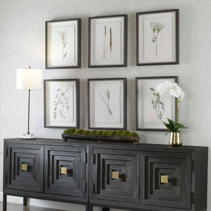 Forest Finds Framed Prints Set of 6 Accessories Uttermost