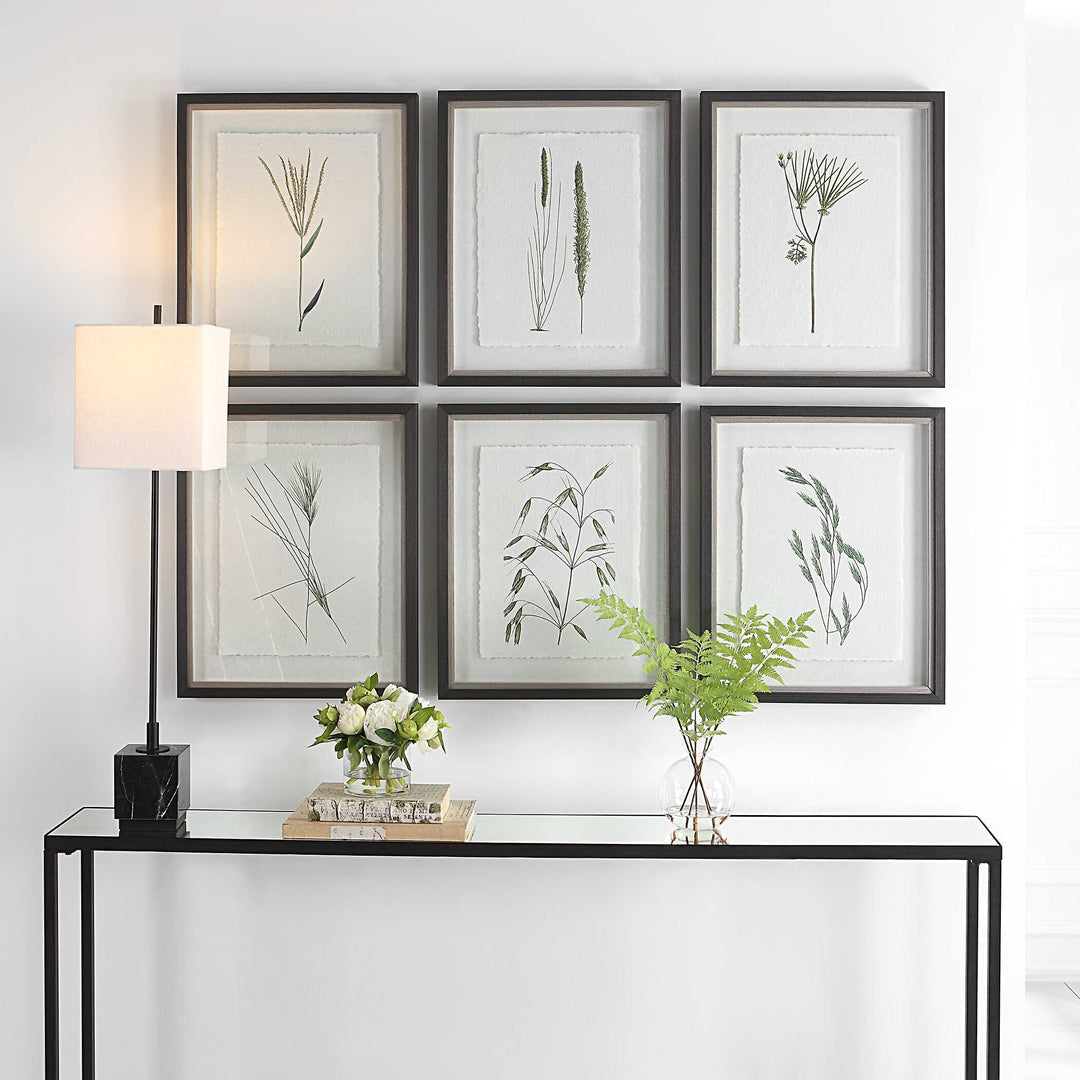 Forest Finds Framed Prints Set of 6 Accessories Uttermost